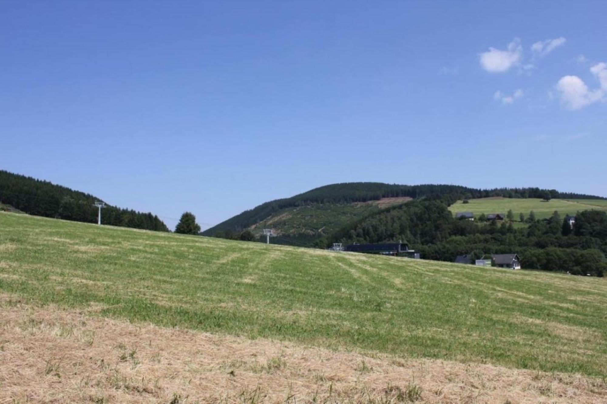 Ferienhaus Easy Holiday Am Ritzhagen Ehem Heinrichs วิลลิงเงิน ภายนอก รูปภาพ